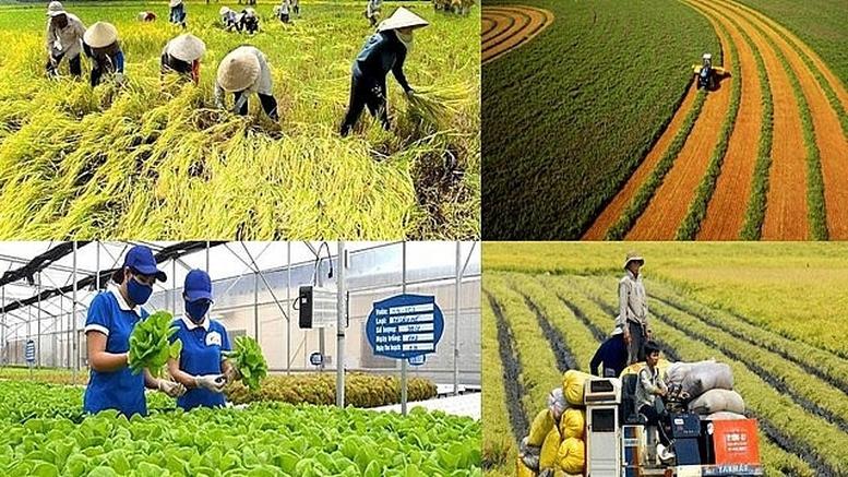 Chính sách mới có hiệu lực từ tháng 1/2026- Ảnh 1. Chính sách mới có hiệu lực từ tháng 1/2026- Ảnh 1.